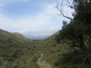 IMG_5203 (Medium)